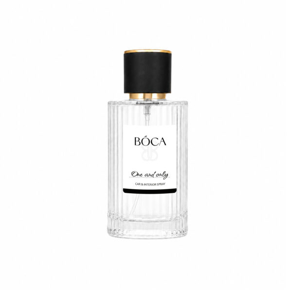 Автоспрей ONE AND ONLY 100 ml